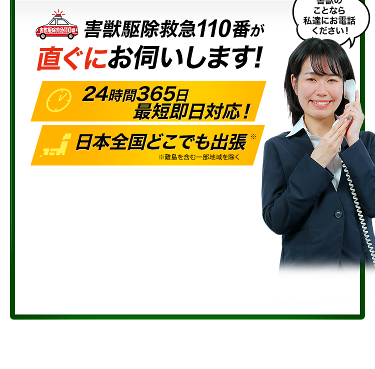 害獣駆除救急110番が直ぐにお伺いします！24時間365日 最短即日対応！日本全国どこでも出張