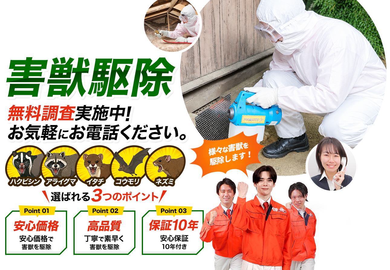 害獣駆除 無料調査実施中！お気軽にお電話ください。