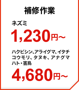 補修作業ネズミ1,230円～　ハクビシン、アライグマ、イタチ、コウモリ、タヌキ、アナグマ、ハト・害鳥4,680円～
