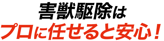 害獣駆除はプロに任せると安心！