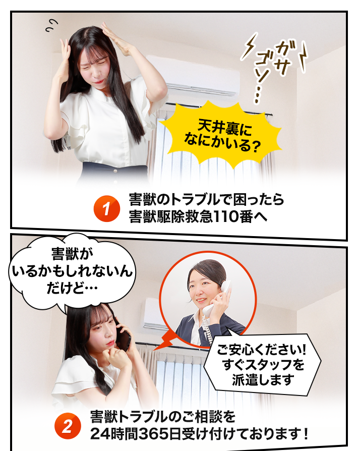 害獣のトラブルが発生～相談するイメージ