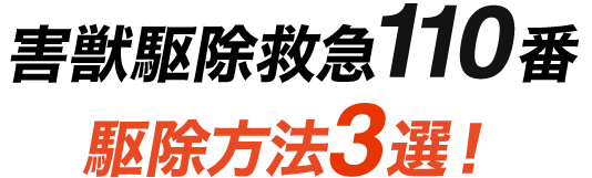 害獣駆除救急110番駆除方法3選！
