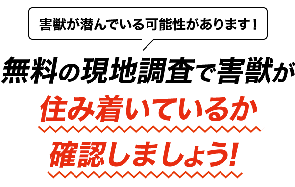 無料の現地調査で害獣が住み着いているか確認しましょう！