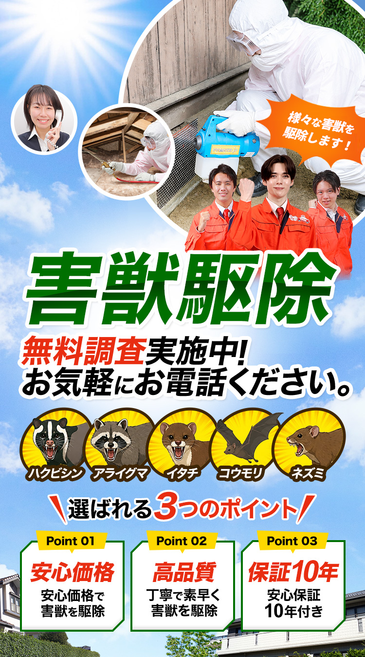 害獣駆除 無料調査実施中！お気軽にお電話ください。