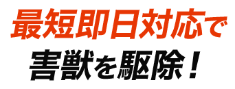 ポイント01:最短即日対応で害獣を駆除