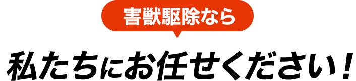 害獣駆除なら私たちにお任せください！