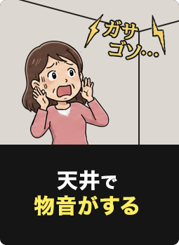 天井で物音がする