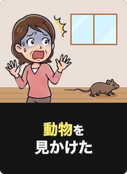 動物を見かけた