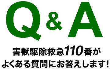 Q&A 害獣駆除救急110番がよくある質問にお答えします！